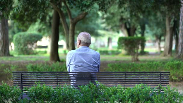 Grandpa alone, sitting on a bench waiting for the grandchildren — Stockvideo