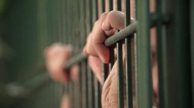  kafes net sallar tutuklu adamın elleri