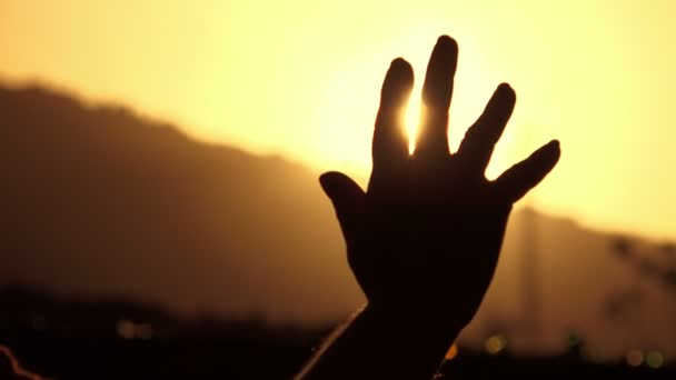 Hand i bakgrundsbelysningen skyddande från solen — Stockvideo