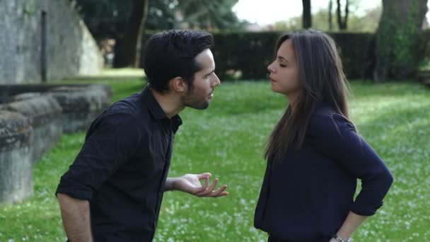 Couple se disputant pour une trahison dans un parc — Video