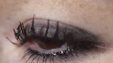 Makro-güzel kahverengi göz açar