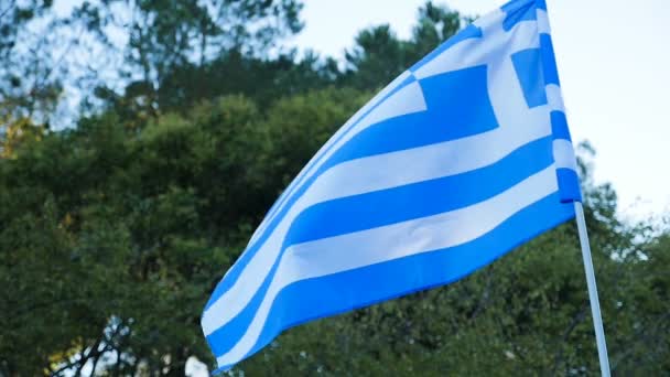 Greek flag waves with the wind — Stock Video