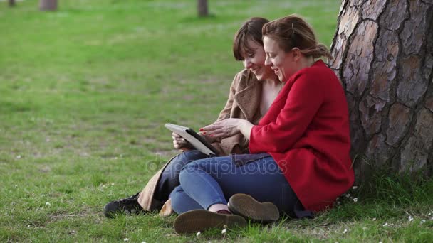 Двое расслабленных друзей, сидящих под деревом, пользуются планшетом — стоковое видео
