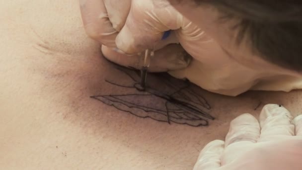 Tattooer rysuje motyl na brzuch — Wideo stockowe