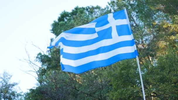 Греческий флаг волн с ветром — стоковое видео