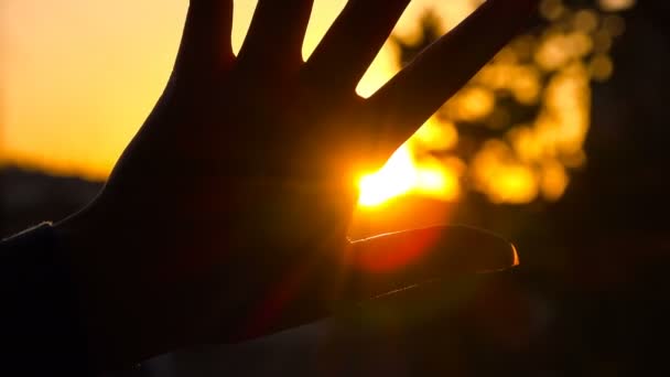 Силуэт женской руки на закате над городом — стоковое видео