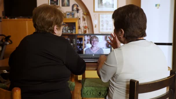 Alte Frauen sprechen auf Skype: Technologie, Videoanrufe — Stockvideo