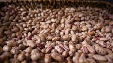 Doğa, gıda, organik: Taze fasulye sepeti - yavaş hareket düşmek