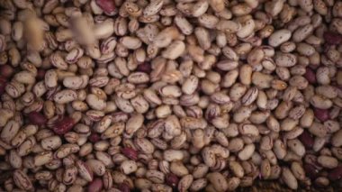 sepet - yavaş hareket içine taze fasulye düşmek