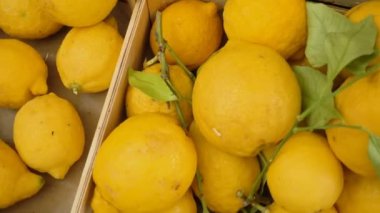 Markette taze ve sarı limon kapat