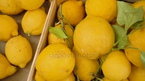 Закрыть на свежие и желтые лимоны на рынке — стоковое видео