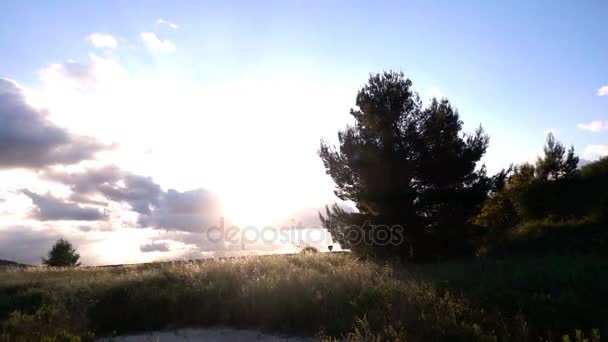 Árbol del paisaje en el cielo de la pradera y las nubes en verano - cámara lenta — Vídeo de stock