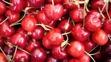 Kiraz kazık, portre kadar yakın