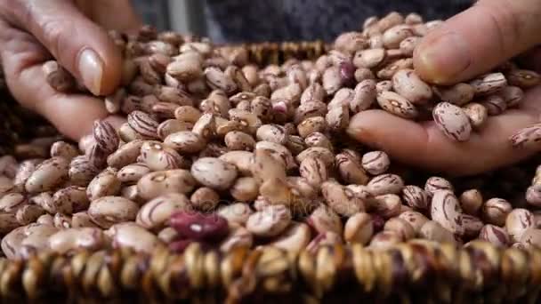 Mezcla de frijoles frescos Manos del agricultor mezcla frijoles - cámara lenta — Vídeos de Stock