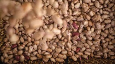 sepet - ağır çekimde düşmek fasulye kapat