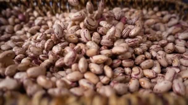 Haricots frais tombent dans le panier- ralenti — Video