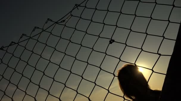 Silhueta de mulher desesperada presa atrás de uma rede — Vídeo de Stock