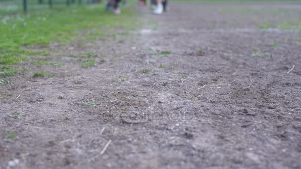 Blurred Entrenamiento de fútbol de niños pequeños — Vídeo de stock