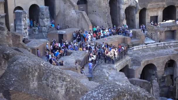 Görünüm Kolezyum Roma, İtalya — Stok video