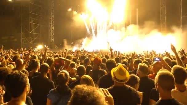 Skara fans på konserten — Stockvideo