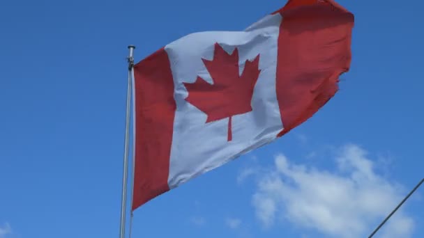 Kanadská vlajka vlny — Stock video