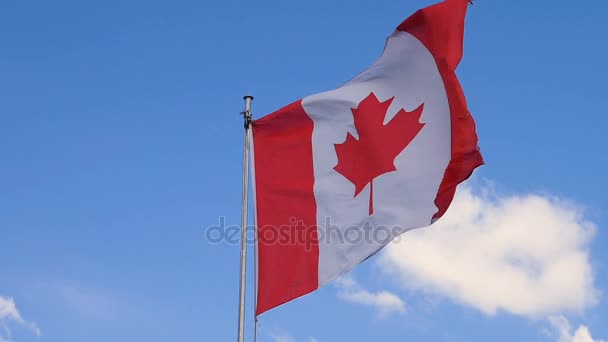 Bandera canadiense ondeando en el cielo — Vídeos de Stock