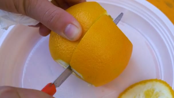 Close up on cutting fresh lemon — Stock Video