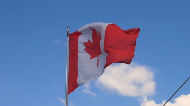 Bandeira canadense acenando no céu câmera lenta — Vídeo de Stock