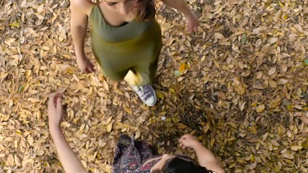 Två kvinnor möts under ett träd och kramas: vänskap, kvinnor, omfamning — Stockvideo