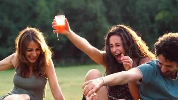 Przyjaciele pijący wino — Wideo stockowe