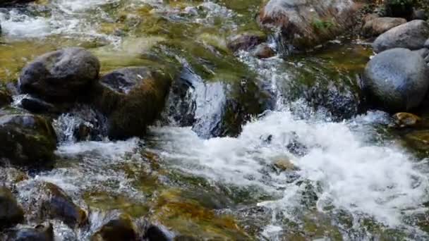 mettre l'accent sur la puissance de la rivière qui coule 