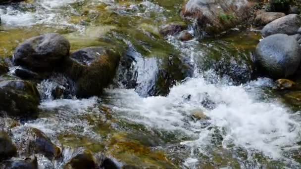 Centrarse en el poder del río que fluye — Vídeo de stock