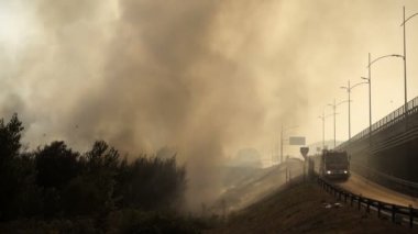 Ormanda büyük yangın