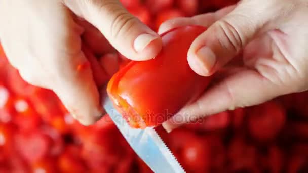 Zelfgemaakte tomatensaus maken — Stockvideo