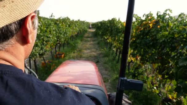Agricultor conduce el tractor — Vídeo de stock
