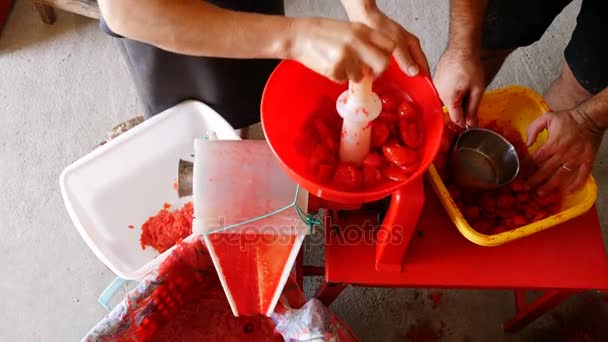 Knijpen stukken van tomaten — Stockvideo