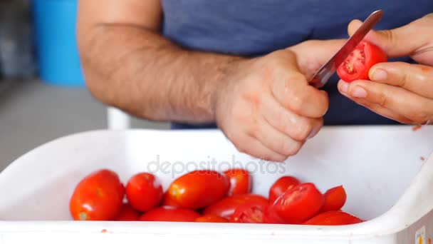 Preparare la salsa di pomodoro fatta in casa — Video Stock