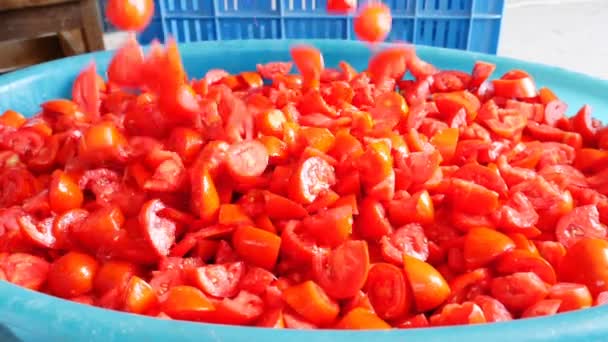 Büyük havza düşen domates parçalarını — Stok video