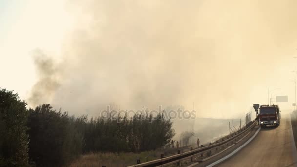 Portarit de foc în pădure — Videoclip de stoc