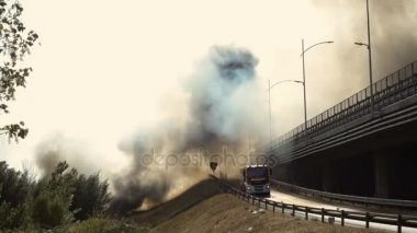 çam ormanı ateşe sakin