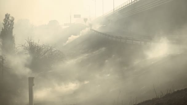 Fuego acaba de apagarse — Vídeo de stock