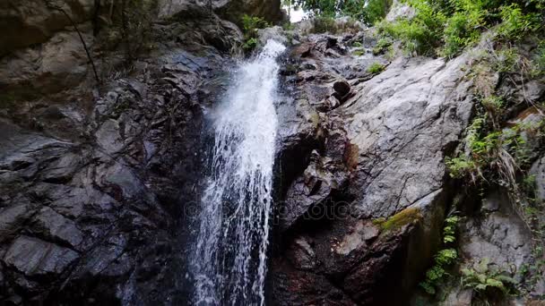 Foco na cachoeira sugestiva na madeira — Vídeo de Stock