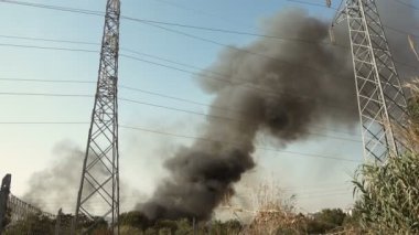 Ormanın derinliklerinde yayılan büyük yangın