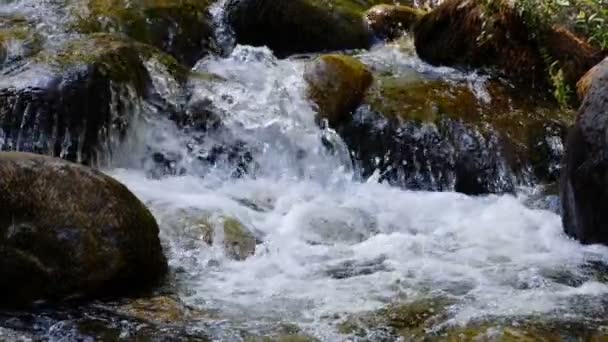 Fokus på vannets styrke – stockvideo