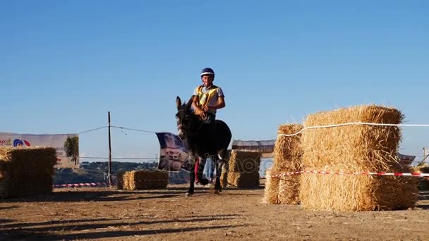 Włoskiej tradycji Donkey wyścigu — Wideo stockowe