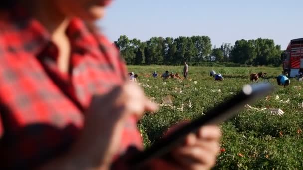 Młoda kobieta za pomocą cyfrowego tabletu — Wideo stockowe