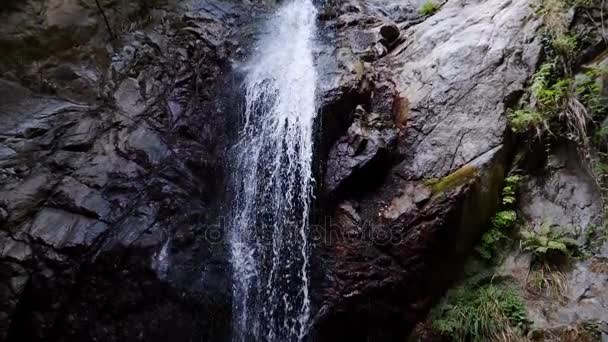 Vidunderlig naturlig foss – stockvideo