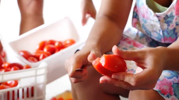 Зосередьтеся на різанні помідорів — стокове відео