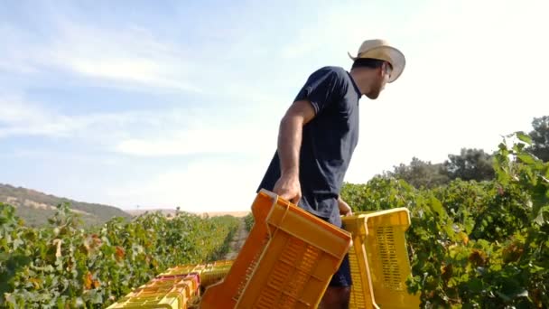 Agricultor en furgoneta pequeña distribuye las cajas — Vídeo de stock