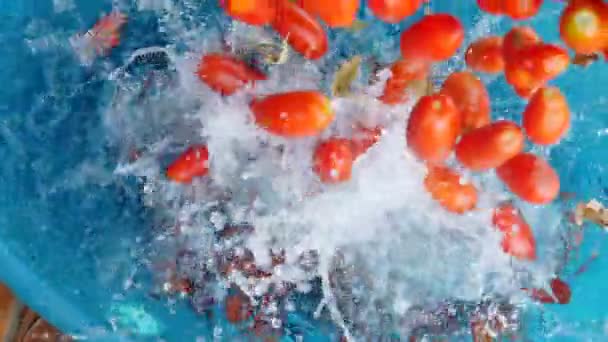 Tomater som faller i vattnet — Stockvideo
